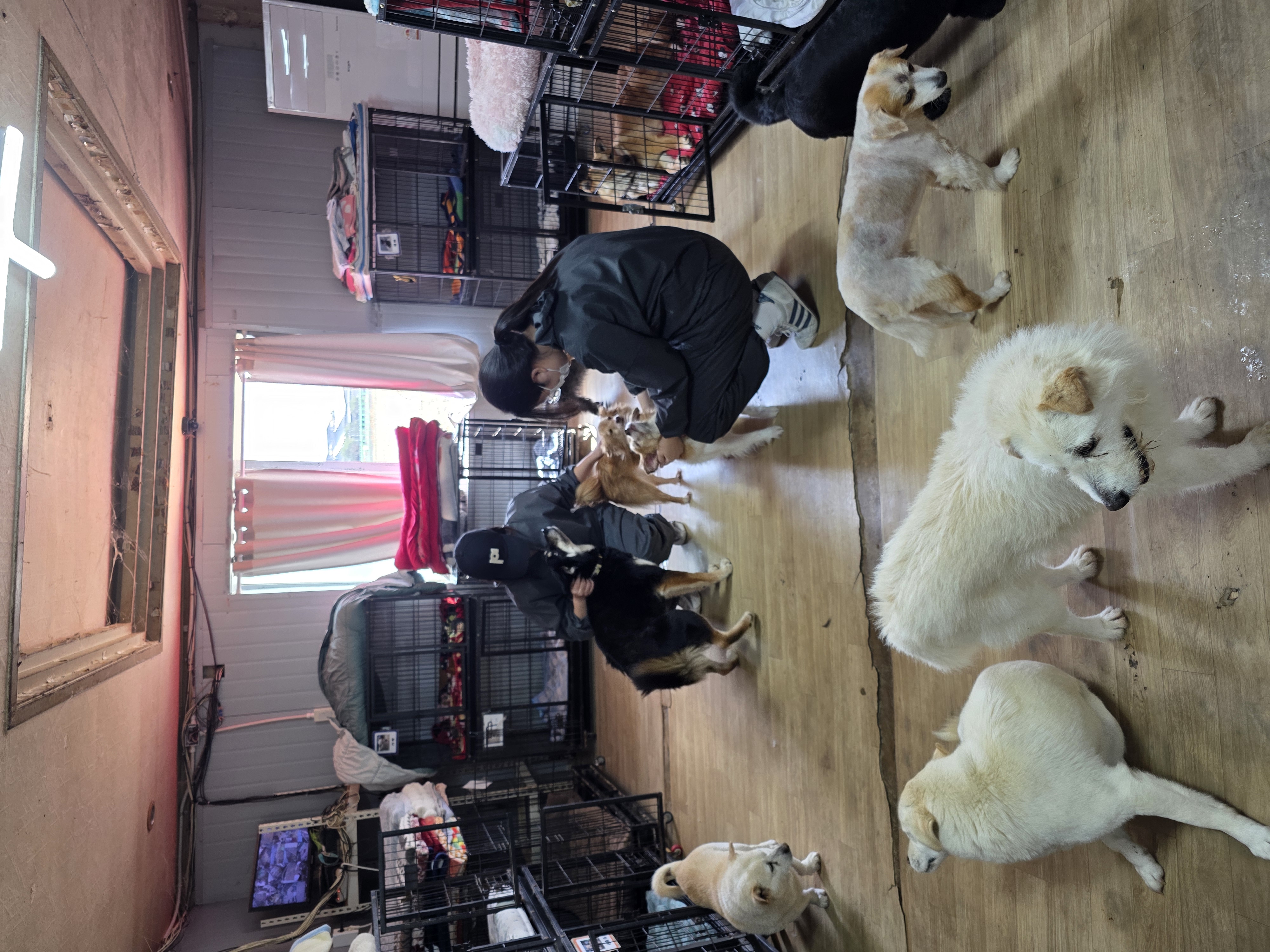 애니멀메이트 쉼터 방문🩷